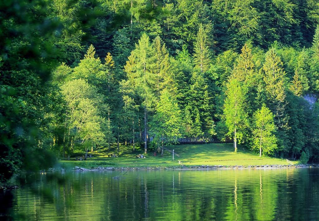 Park Am See Обертраун Екстер'єр фото